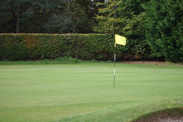 Putting Green from a distance
